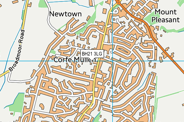 BH21 3LG map - OS VectorMap District (Ordnance Survey) BH21 3LG map - OS VectorMap District (Ordnance Survey)