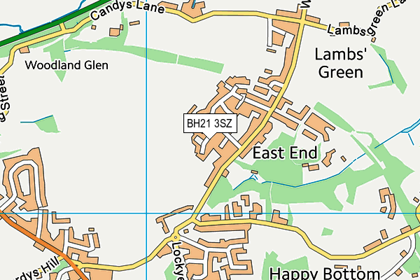 BH21 3SZ map - OS VectorMap District (Ordnance Survey)
