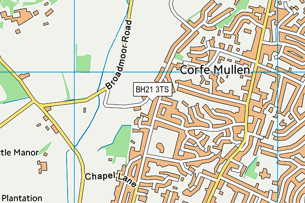 BH21 3TS map - OS VectorMap District (Ordnance Survey) BH21 3TS map - OS VectorMap District (Ordnance Survey)