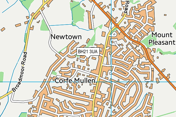 BH21 3UA map - OS VectorMap District (Ordnance Survey) BH21 3UA map - OS VectorMap District (Ordnance Survey)