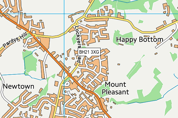 BH21 3XG map - OS VectorMap District (Ordnance Survey) BH21 3XG map - OS VectorMap District (Ordnance Survey)