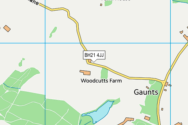 BH21 4JJ map - OS VectorMap District (Ordnance Survey) BH21 4JJ map - OS VectorMap District (Ordnance Survey)