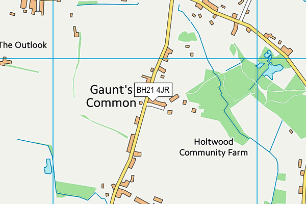 BH21 4JR map - OS VectorMap District (Ordnance Survey) BH21 4JR map - OS VectorMap District (Ordnance Survey)