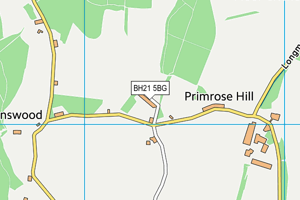 BH21 5BG map - OS VectorMap District (Ordnance Survey) BH21 5BG map - OS VectorMap District (Ordnance Survey)