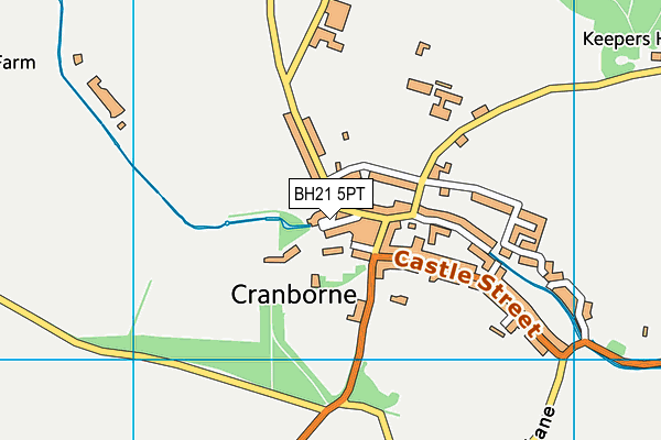BH21 5PT map - OS VectorMap District (Ordnance Survey) BH21 5PT map - OS VectorMap District (Ordnance Survey)