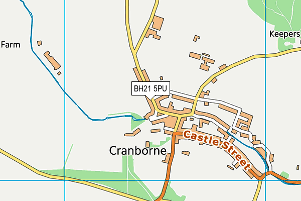 BH21 5PU map - OS VectorMap District (Ordnance Survey) BH21 5PU map - OS VectorMap District (Ordnance Survey)