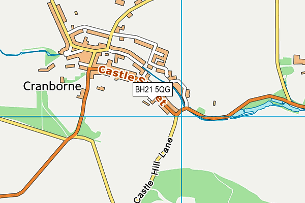 BH21 5QG map - OS VectorMap District (Ordnance Survey)