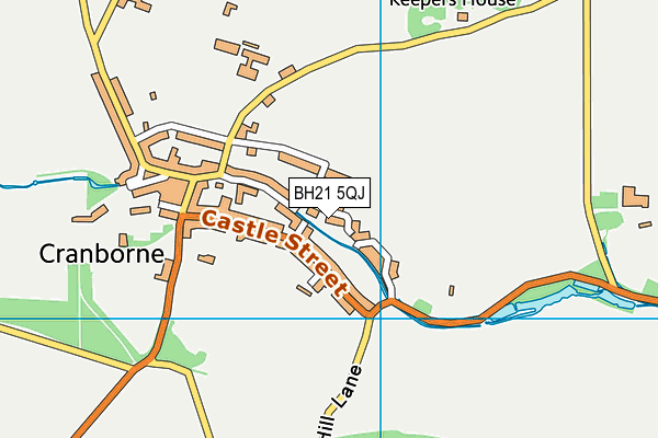 BH21 5QJ map - OS VectorMap District (Ordnance Survey) BH21 5QJ map - OS VectorMap District (Ordnance Survey)