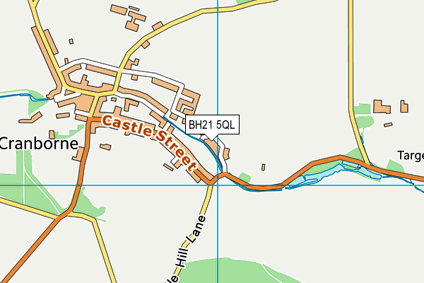 BH21 5QL map - OS VectorMap District (Ordnance Survey) BH21 5QL map - OS VectorMap District (Ordnance Survey)