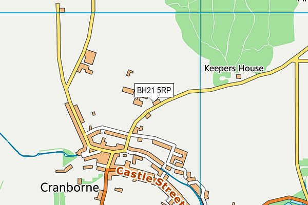 BH21 5RP map - OS VectorMap District (Ordnance Survey) BH21 5RP map - OS VectorMap District (Ordnance Survey)