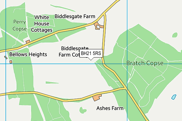 BH21 5RS map - OS VectorMap District (Ordnance Survey)