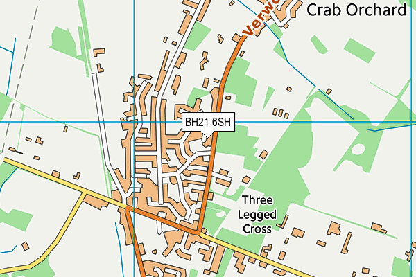 BH21 6SH map - OS VectorMap District (Ordnance Survey) BH21 6SH map - OS VectorMap District (Ordnance Survey)
