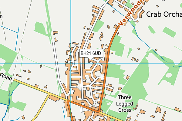 BH21 6UD map - OS VectorMap District (Ordnance Survey) BH21 6UD map - OS VectorMap District (Ordnance Survey)