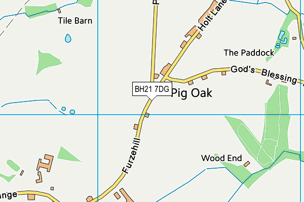 BH21 7DG map - OS VectorMap District (Ordnance Survey) BH21 7DG map - OS VectorMap District (Ordnance Survey)