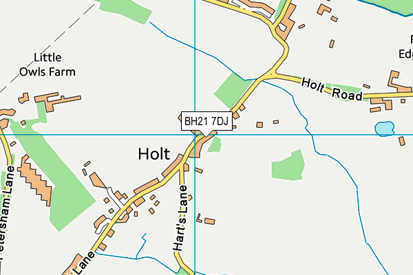 BH21 7DJ map - OS VectorMap District (Ordnance Survey) BH21 7DJ map - OS VectorMap District (Ordnance Survey)