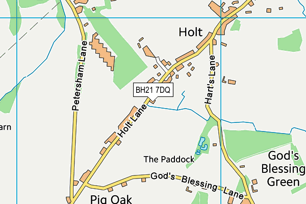 BH21 7DQ map - OS VectorMap District (Ordnance Survey) BH21 7DQ map - OS VectorMap District (Ordnance Survey)