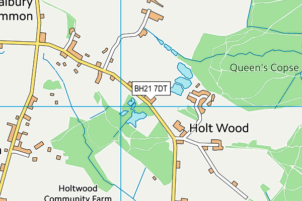 BH21 7DT map - OS VectorMap District (Ordnance Survey) BH21 7DT map - OS VectorMap District (Ordnance Survey)