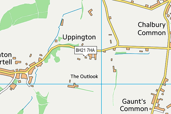 BH21 7HA map - OS VectorMap District (Ordnance Survey) BH21 7HA map - OS VectorMap District (Ordnance Survey)