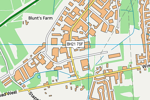 BH21 7SF map - OS VectorMap District (Ordnance Survey) BH21 7SF map - OS VectorMap District (Ordnance Survey)