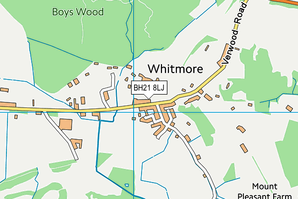 BH21 8LJ map - OS VectorMap District (Ordnance Survey)