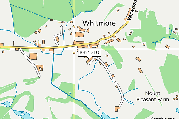 BH21 8LQ map - OS VectorMap District (Ordnance Survey) BH21 8LQ map - OS VectorMap District (Ordnance Survey)