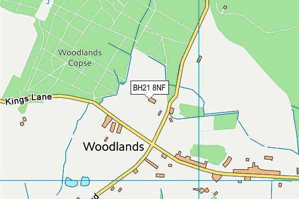 BH21 8NF map - OS VectorMap District (Ordnance Survey) BH21 8NF map - OS VectorMap District (Ordnance Survey)