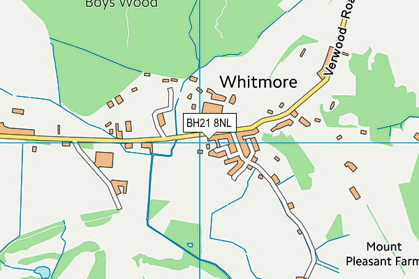 BH21 8NL map - OS VectorMap District (Ordnance Survey) BH21 8NL map - OS VectorMap District (Ordnance Survey)