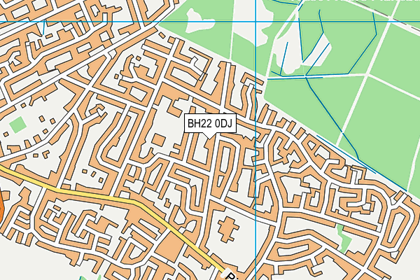 BH22 0DJ map - OS VectorMap District (Ordnance Survey) BH22 0DJ map - OS VectorMap District (Ordnance Survey)