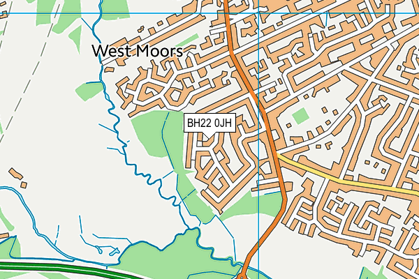 BH22 0JH map - OS VectorMap District (Ordnance Survey)
