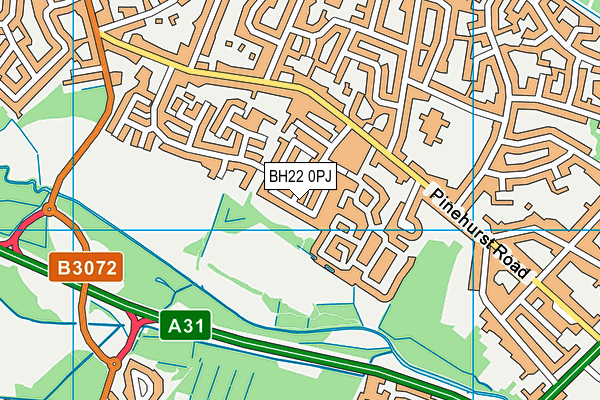 BH22 0PJ map - OS VectorMap District (Ordnance Survey) BH22 0PJ map - OS VectorMap District (Ordnance Survey)