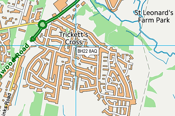 BH22 8AQ map - OS VectorMap District (Ordnance Survey) BH22 8AQ map - OS VectorMap District (Ordnance Survey)