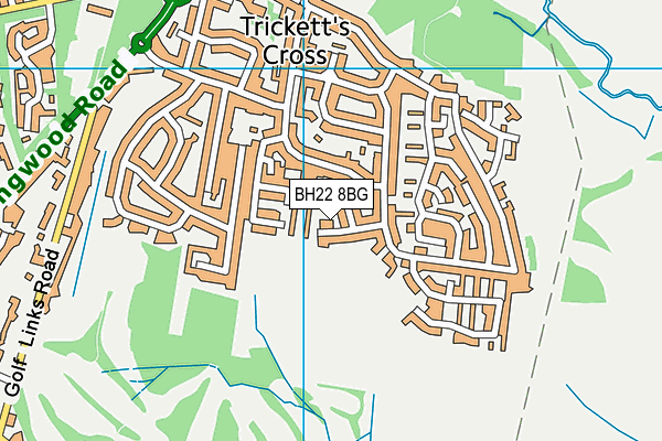 BH22 8BG map - OS VectorMap District (Ordnance Survey)
