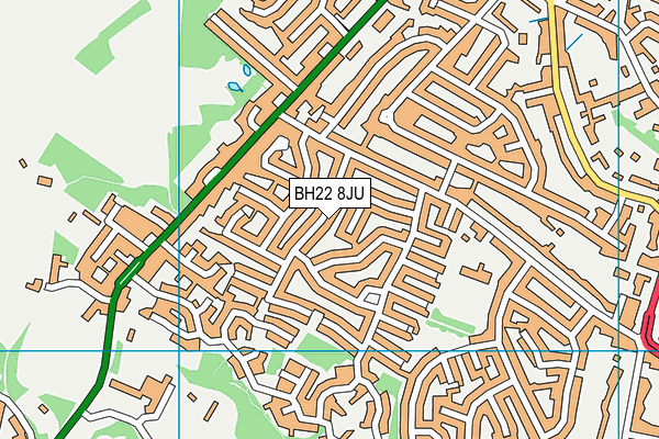 BH22 8JU map - OS VectorMap District (Ordnance Survey) BH22 8JU map - OS VectorMap District (Ordnance Survey)