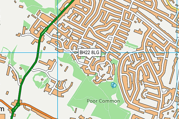 BH22 8LG map - OS VectorMap District (Ordnance Survey) BH22 8LG map - OS VectorMap District (Ordnance Survey)