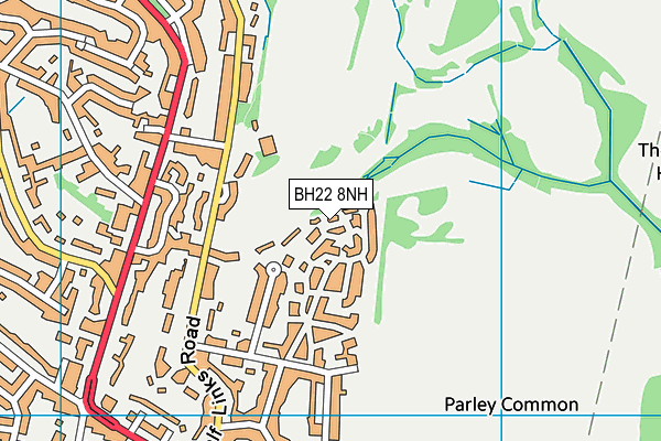 BH22 8NH map - OS VectorMap District (Ordnance Survey) BH22 8NH map - OS VectorMap District (Ordnance Survey)