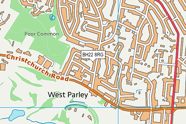 BH22 8RG map - OS VectorMap District (Ordnance Survey) BH22 8RG map - OS VectorMap District (Ordnance Survey)