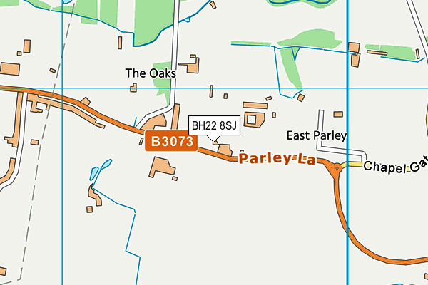 BH22 8SJ map - OS VectorMap District (Ordnance Survey)