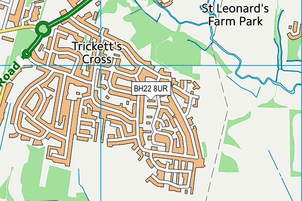 BH22 8UR map - OS VectorMap District (Ordnance Survey) BH22 8UR map - OS VectorMap District (Ordnance Survey)