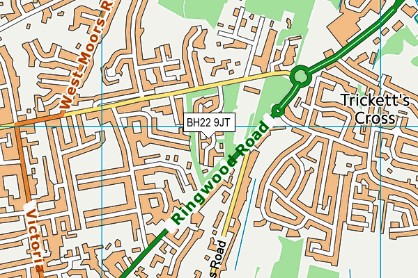 BH22 9JT map - OS VectorMap District (Ordnance Survey) BH22 9JT map - OS VectorMap District (Ordnance Survey)