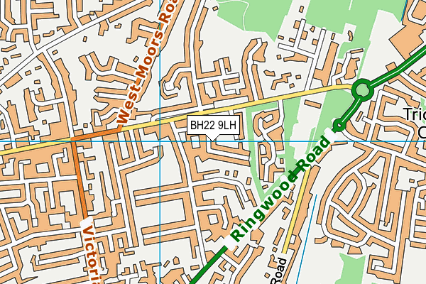 BH22 9LH map - OS VectorMap District (Ordnance Survey) BH22 9LH map - OS VectorMap District (Ordnance Survey)