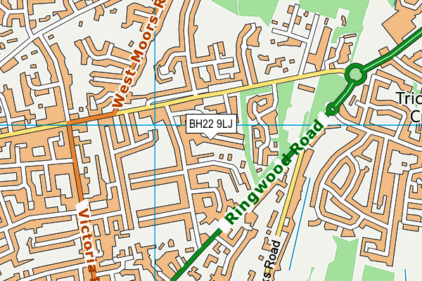BH22 9LJ map - OS VectorMap District (Ordnance Survey) BH22 9LJ map - OS VectorMap District (Ordnance Survey)