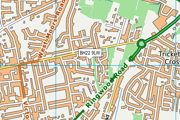 BH22 9LW map - OS VectorMap District (Ordnance Survey) BH22 9LW map - OS VectorMap District (Ordnance Survey)