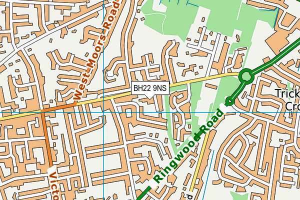 BH22 9NS map - OS VectorMap District (Ordnance Survey) BH22 9NS map - OS VectorMap District (Ordnance Survey)