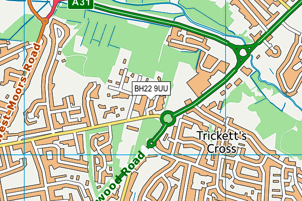BH22 9UU map - OS VectorMap District (Ordnance Survey)
