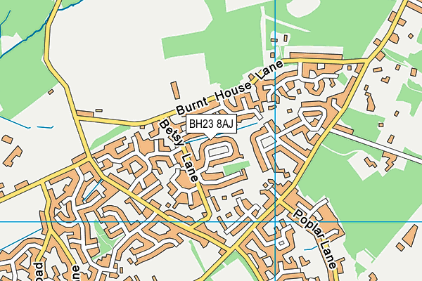 BH23 8AJ map - OS VectorMap District (Ordnance Survey) BH23 8AJ map - OS VectorMap District (Ordnance Survey)