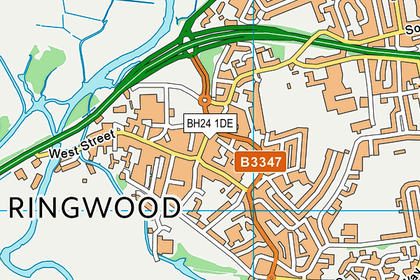 BH24 1DE map - OS VectorMap District (Ordnance Survey)