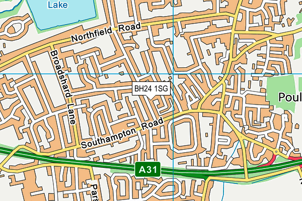 BH24 1SG map - OS VectorMap District (Ordnance Survey) BH24 1SG map - OS VectorMap District (Ordnance Survey)