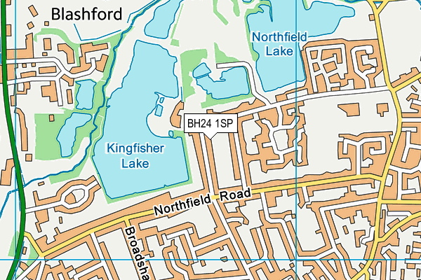 BH24 1SP map - OS VectorMap District (Ordnance Survey) BH24 1SP map - OS VectorMap District (Ordnance Survey)