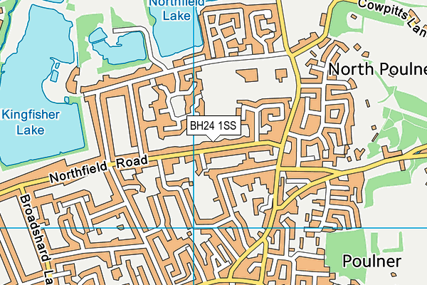BH24 1SS map - OS VectorMap District (Ordnance Survey) BH24 1SS map - OS VectorMap District (Ordnance Survey)