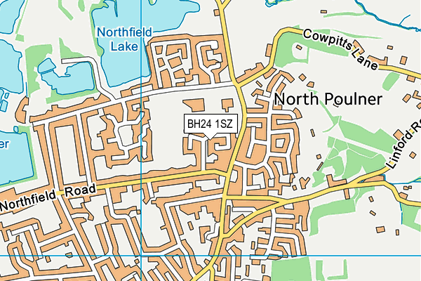 BH24 1SZ map - OS VectorMap District (Ordnance Survey)